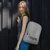 The Prosperous Backpack