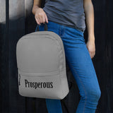 The Prosperous Backpack